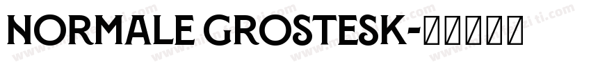 Normale Grostesk字体转换